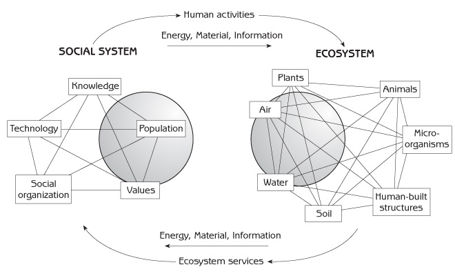 Interaction of the human social system with the ecosystem